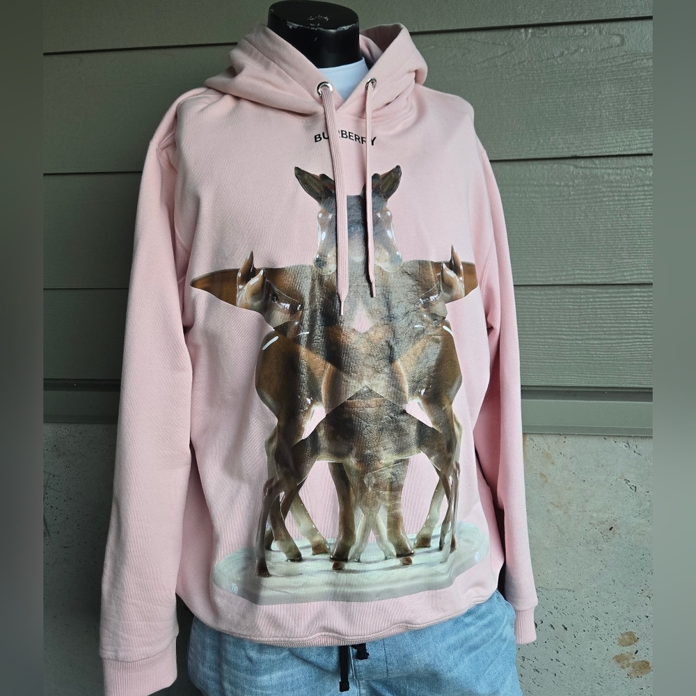 Burberry Eversham Graphic Hoodie - Picture 5 of 10